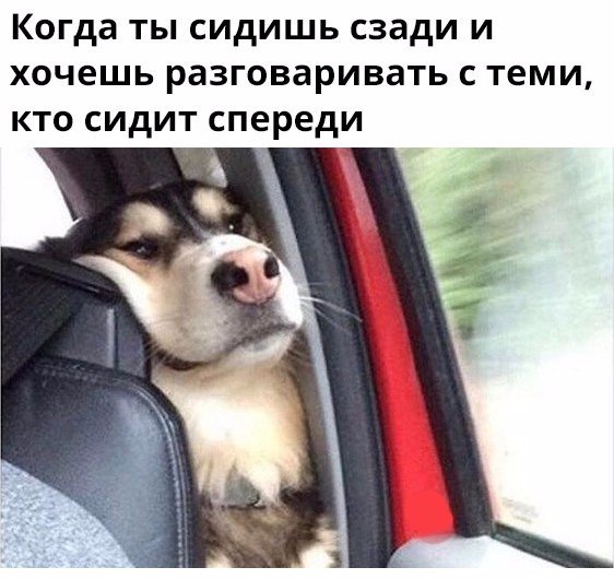 *В машине*