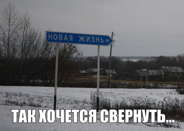 Новая жизнь