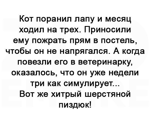 Симулянт