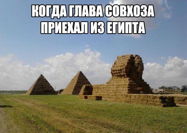 Приехал из Египта