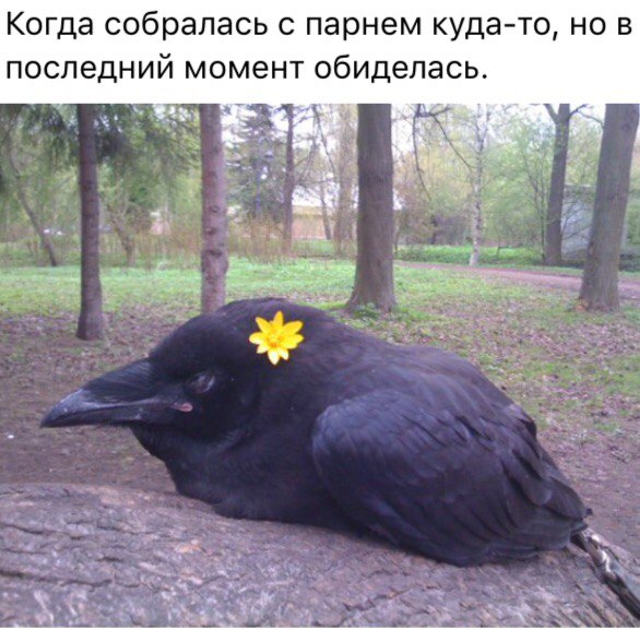 Обиделась