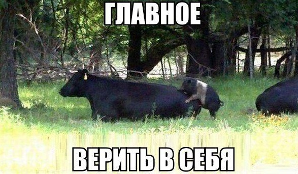 Верь в себя