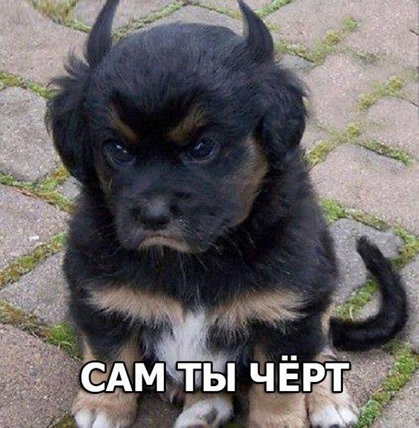 Чёрт