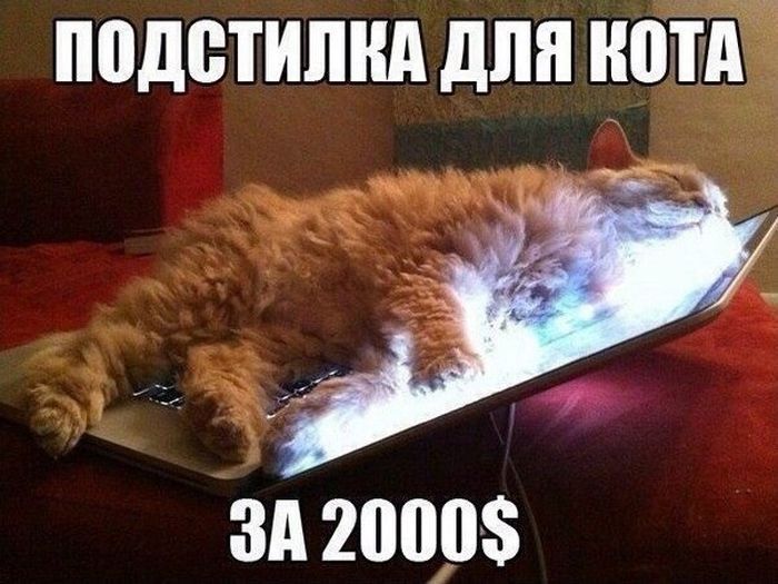 Подстилка