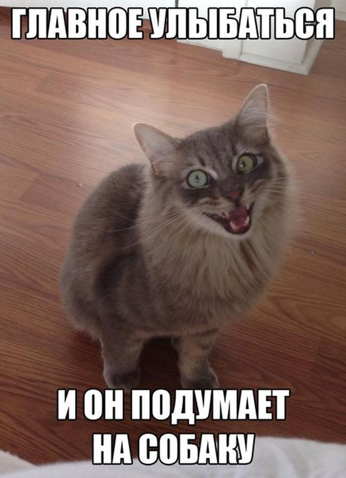 Главное улыбаться