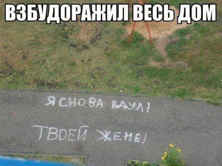 Весь дом