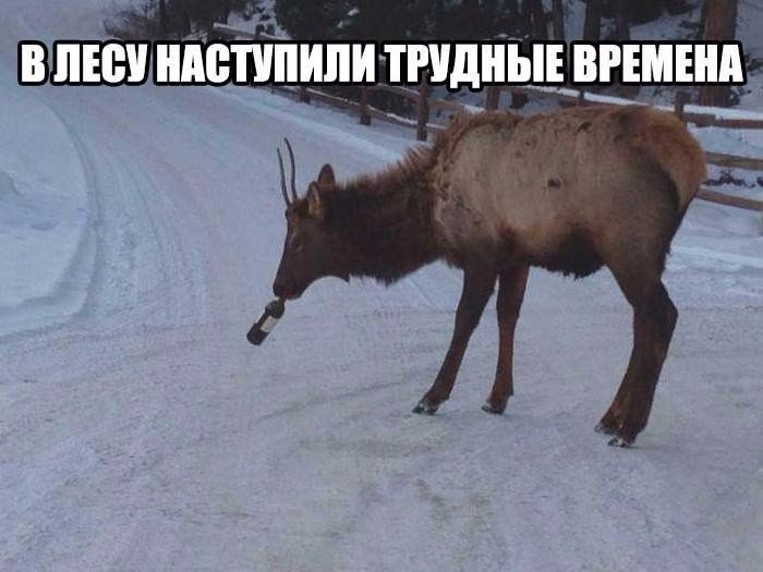 Тяжелые времена