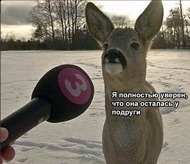 Олень