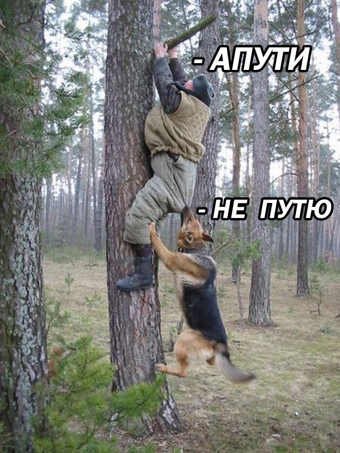 Собака - друг человека