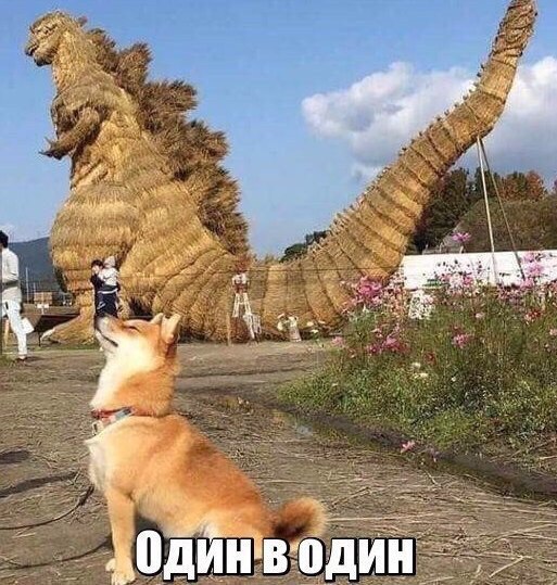 Копия