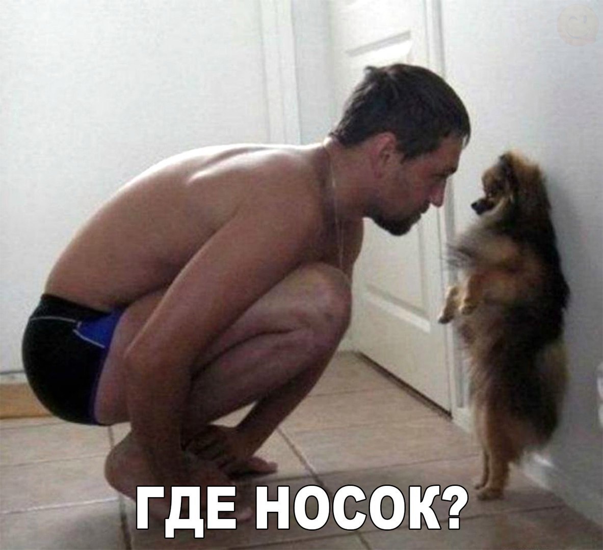 Где носочек?