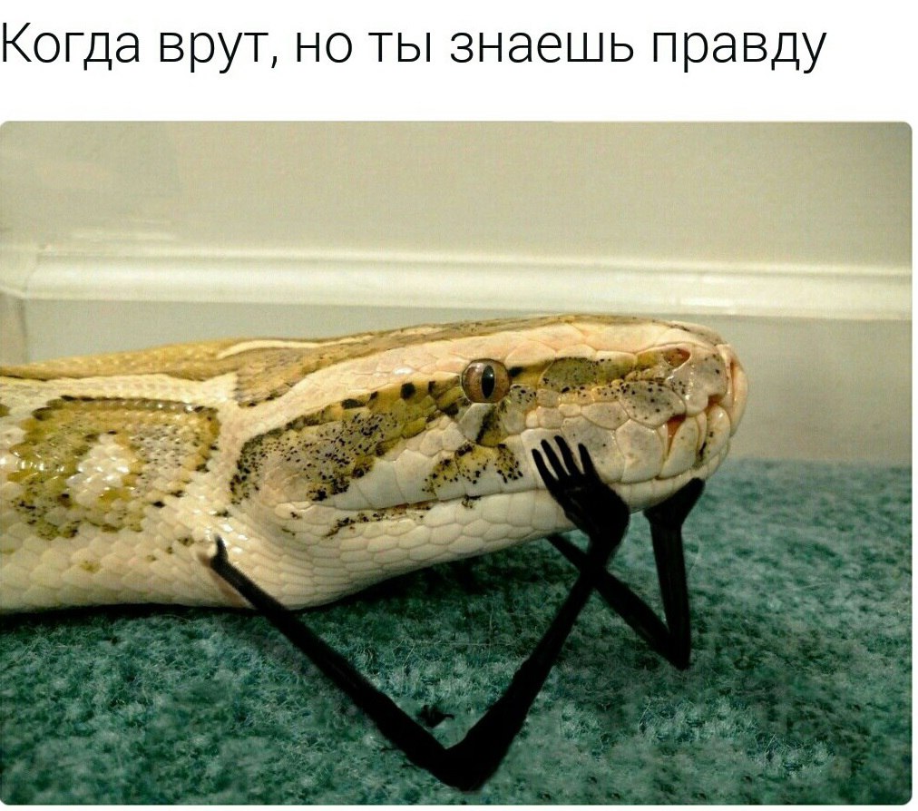 Когда знаешь правду