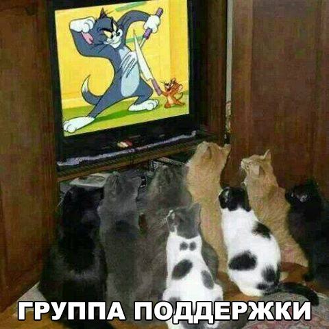 Фанаты