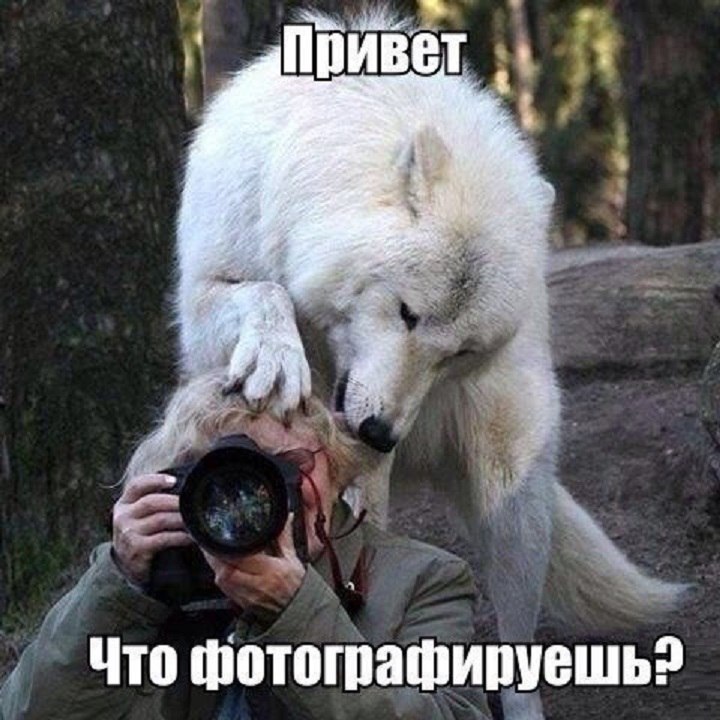 Что фоткаешь?