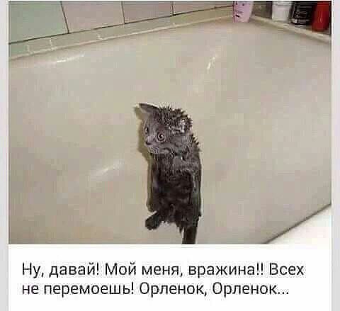 Боец