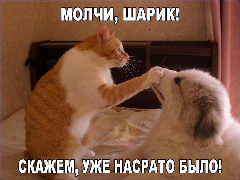 Не шуми!