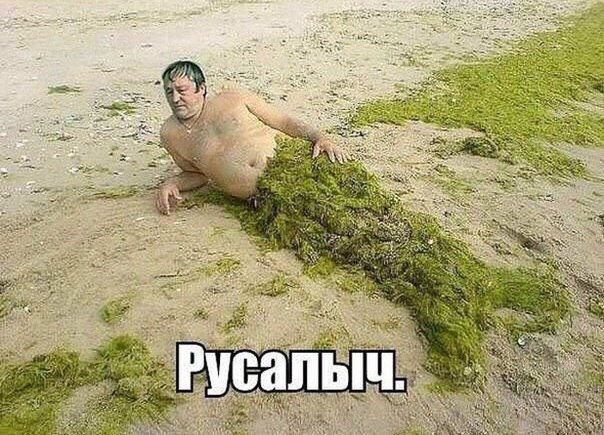 Русалыч