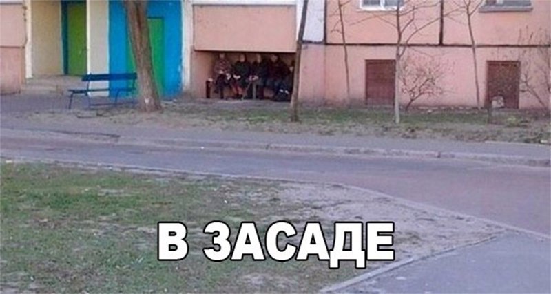 В засаде