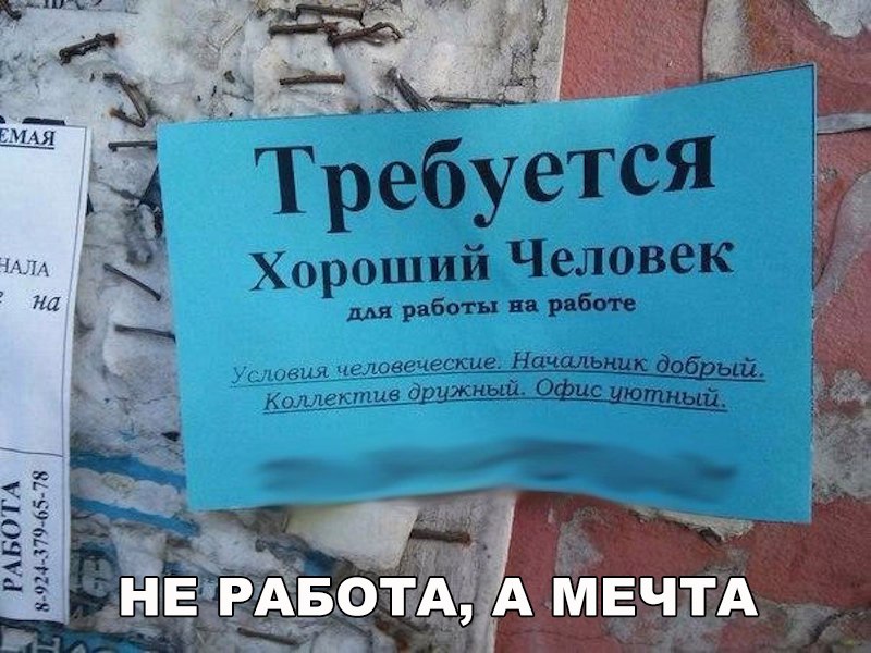 Работа мечты