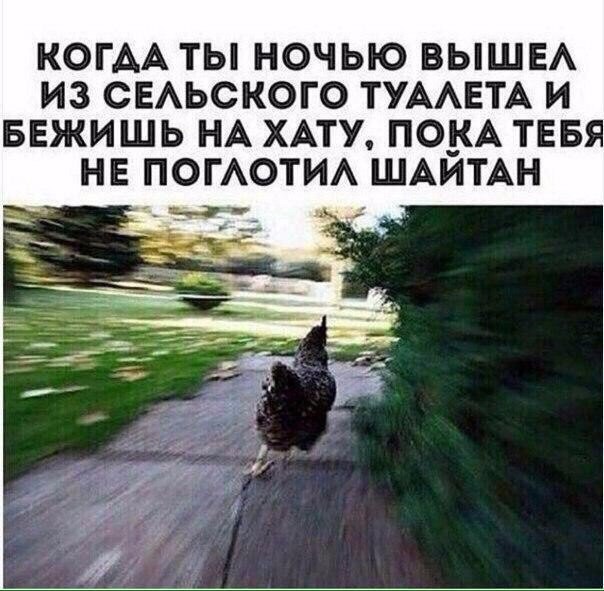 Страх по жизни