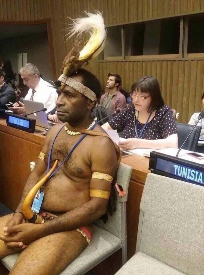 Поссол Новой Гвинеи в ООН